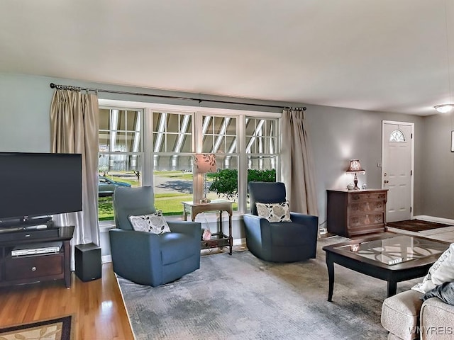 149 Ava Ln, Amherst, NY 14221 - living area featuring wood finished floors and baseboards