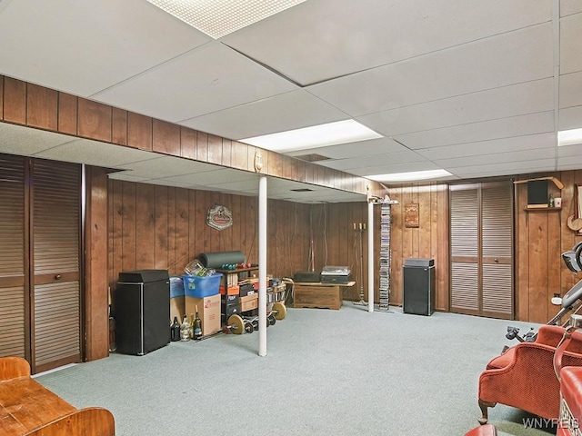 149 Ava Ln, Amherst, NY 14221 - finished basement featuring carpet, wooden walls, and a drop ceiling
