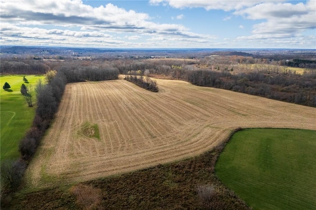 Rush Scottsville Rd, Rush, NY 14543 - photo 3