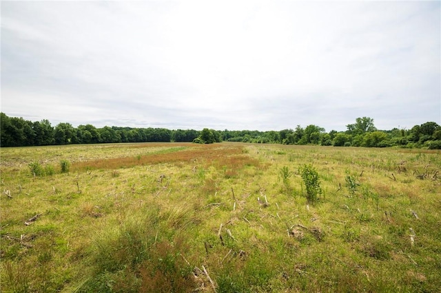 Rush Scottsville Rd, Rush, NY 14543 - photo 6