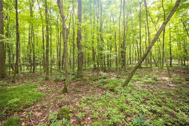 Rush Scottsville Rd, Rush, NY 14543 - photo 9