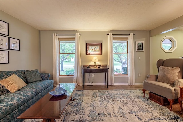 15 Chesapeake Lndg, Henrietta, NY 14586 - living area with healthy amount of natural light and wood finished floors
