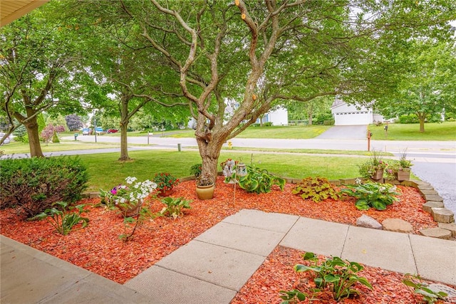 15 Chesapeake Lndg, Henrietta, NY 14586 - view of green lawn
