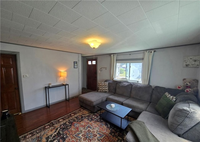 37 Pulaski St, Auburn, NY 13021 - living room featuring wood finished floors