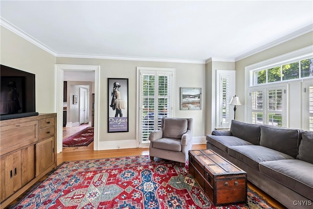 49 Academy St, Skaneateles, NY 13152 - living area featuring plenty of natural light, crown molding, and wood finished floors