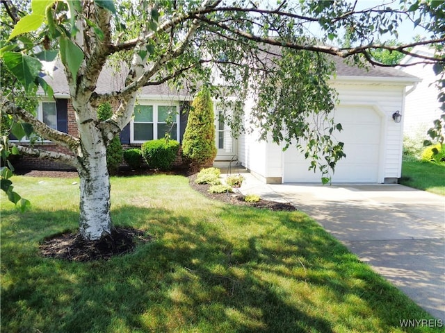 4315 Twilight Ln, Hamburg, NY 14075 - view of property hidden behind natural elements with an attached garage, concrete driveway, and a front yard