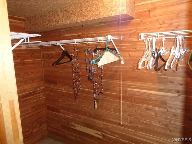 4315 Twilight Ln, Hamburg, NY 14075 - view of walk in closet