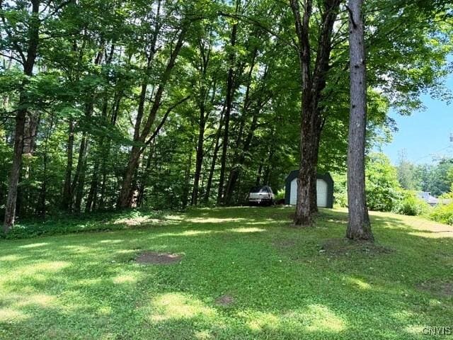 3253 Oswego Rd, Vienna, NY 13308 - photo 19