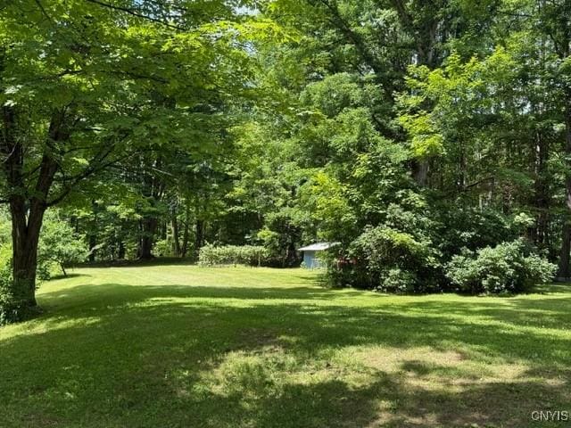 3253 Oswego Rd, Vienna, NY 13308 - photo 3