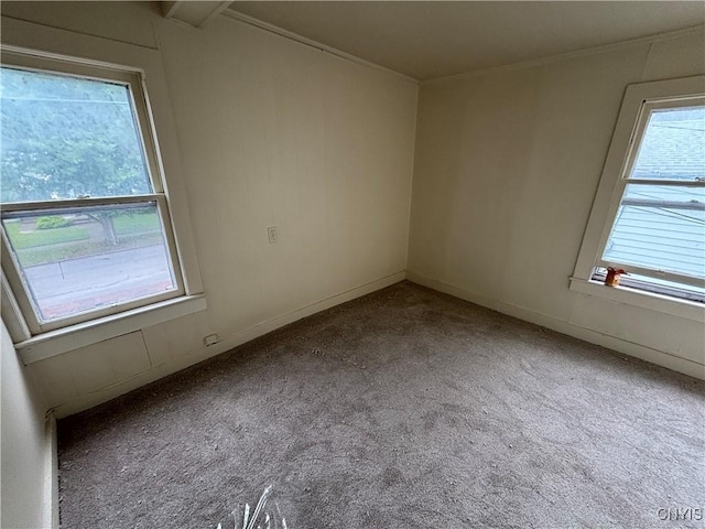 1011 Carbon St Unit 2, Syracuse, NY 13208 - empty room featuring carpet floors and crown molding