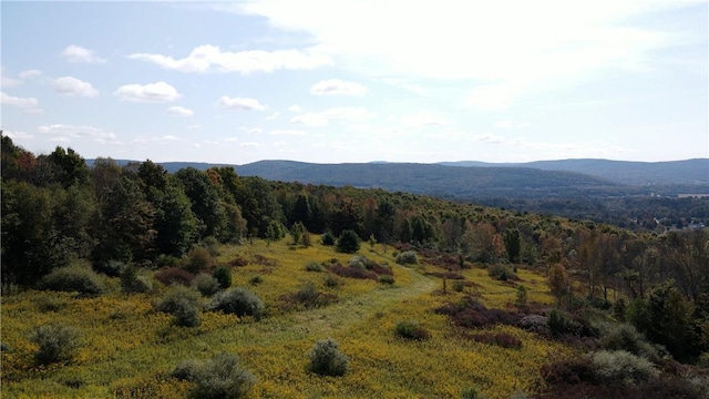 Sisson Hill Rd, Unadilla, NY 13849 - photo 1