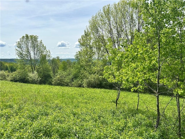 Sisson Hill Rd, Unadilla, NY 13849 - photo 2