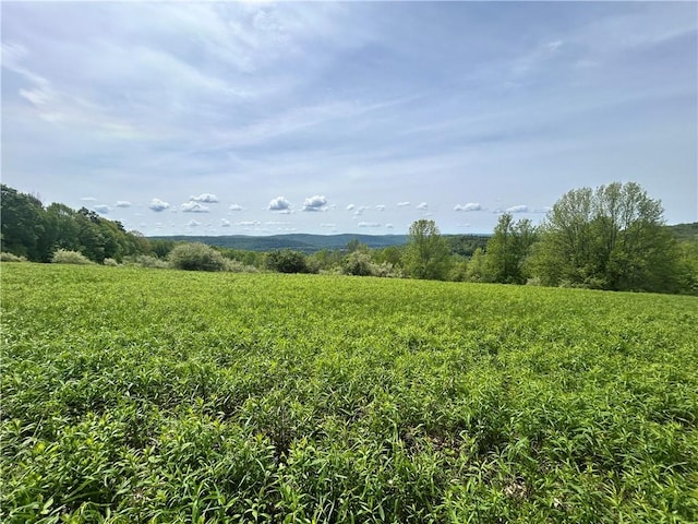 Sisson Hill Rd, Unadilla, NY 13849 - photo 3