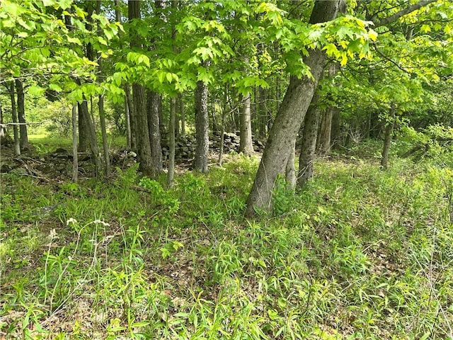 Sisson Hill Rd, Unadilla, NY 13849 - photo 4