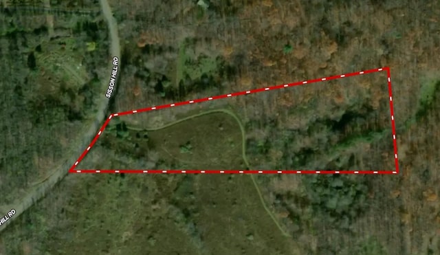 Sisson Hill Rd, Unadilla, NY 13849 - photo 5