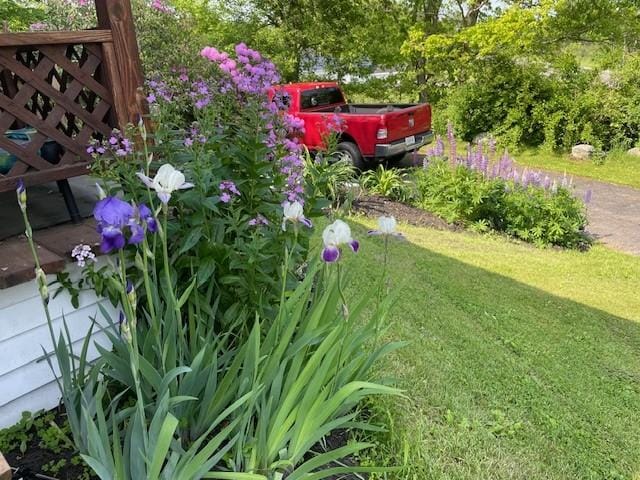 1571 State Highway 7, Afton, NY 13730 - view of green lawn