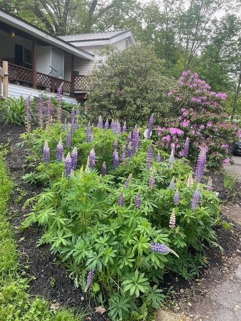 1571 State Highway 7, Afton, NY 13730 - view of yard