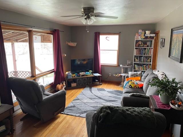 1571 State Highway 7, Afton, NY 13730 - living area with a ceiling fan, plenty of natural light, and wood finished floors
