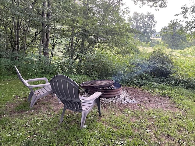 1571 State Highway 7, Afton, NY 13730 - view of yard