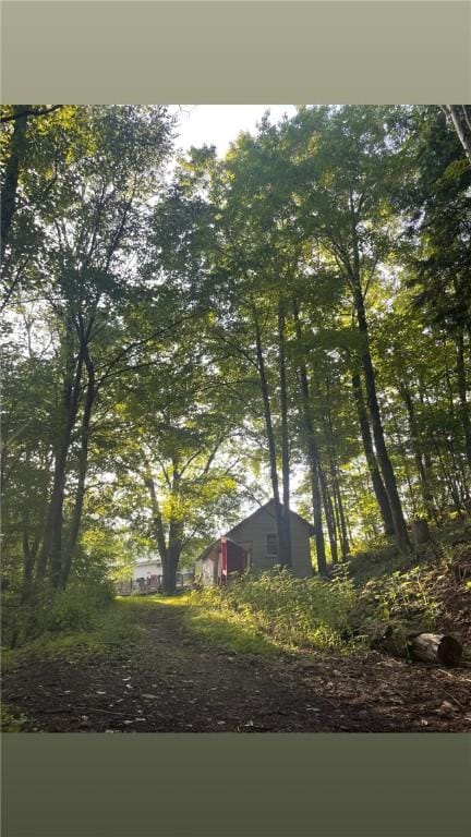 1571 State Highway 7, Afton, NY 13730 - view of home's exterior