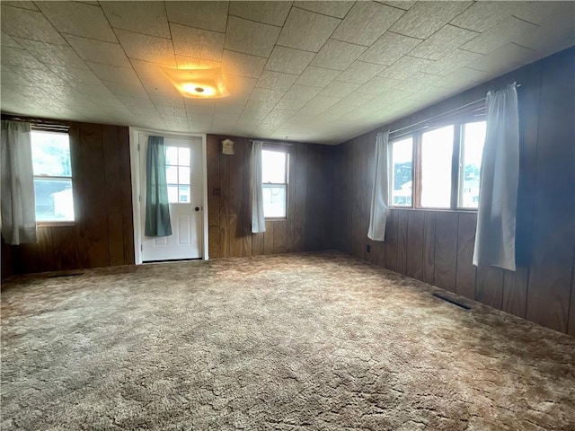 27 Chestnut Ave, North Dansville, NY 14437 - spare room with wood walls, plenty of natural light, and carpet flooring