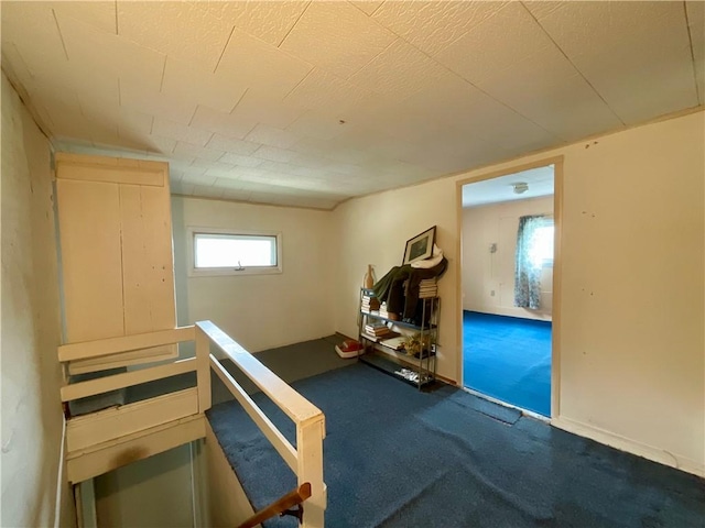27 Chestnut Ave, North Dansville, NY 14437 - exercise area with carpet floors