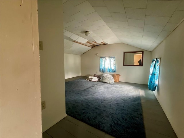 27 Chestnut Ave, North Dansville, NY 14437 - additional living space featuring carpet and lofted ceiling
