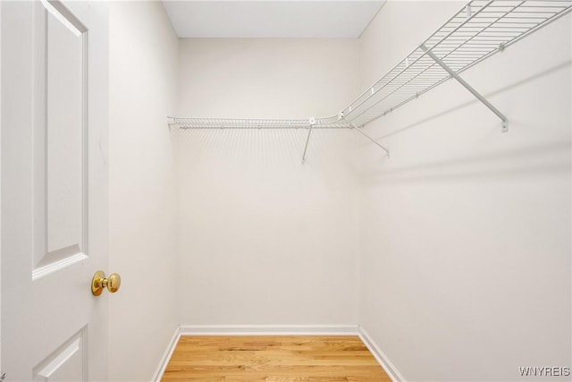 25 Caspian Ct, Amherst, NY 14228 - walk in closet with light wood finished floors