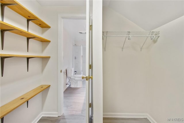 25 Caspian Ct, Amherst, NY 14228 - spacious closet featuring wood finished floors and lofted ceiling
