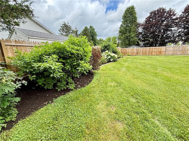 5 Riverside Ave, Oneonta, NY 13820 - view of yard
