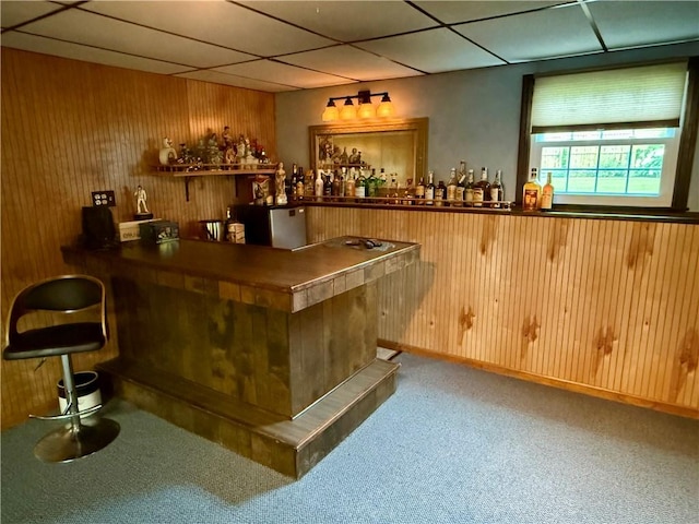 5 Riverside Ave, Oneonta, NY 13820 - indoor bar featuring wood walls, carpet flooring, and a paneled ceiling