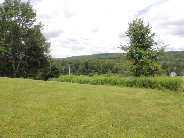 751 County Rd 17, Bainbridge, NY 13733 - view of grassy yard with a wooded view