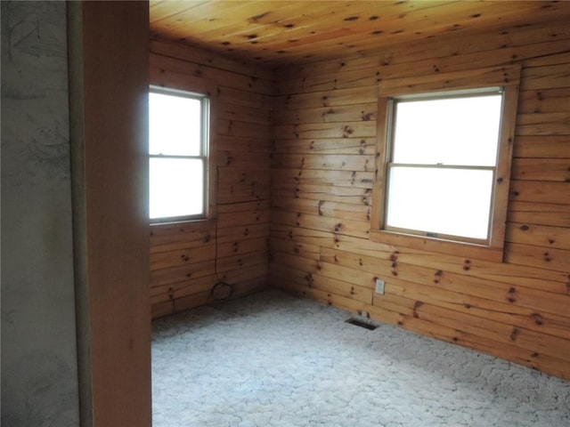 751 County Rd 17, Bainbridge, NY 13733 - carpeted spare room with wooden ceiling and wood walls