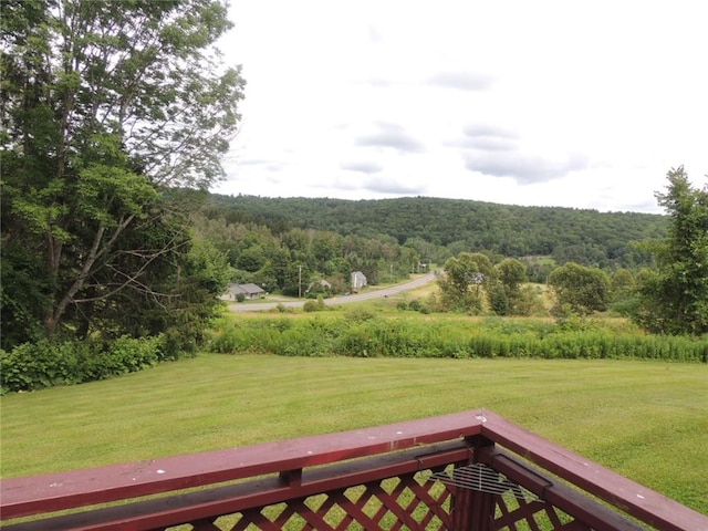 751 County Rd 17, Bainbridge, NY 13733 - view of green lawn with a wooded view