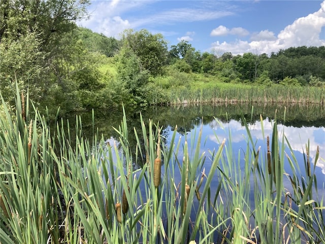 751 County Rd 17, Bainbridge, NY 13733 - water view