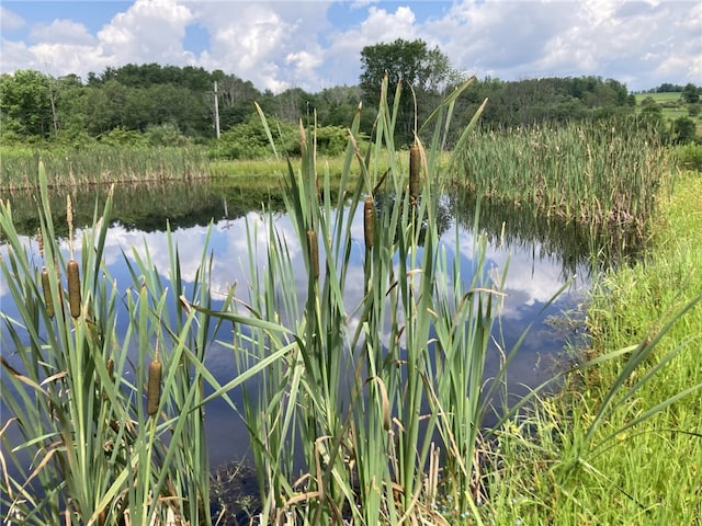 751 County Rd 17, Bainbridge, NY 13733 - water view