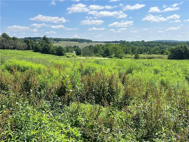 14184 State Route 90, Summerhill, NY 13092 - photo 37