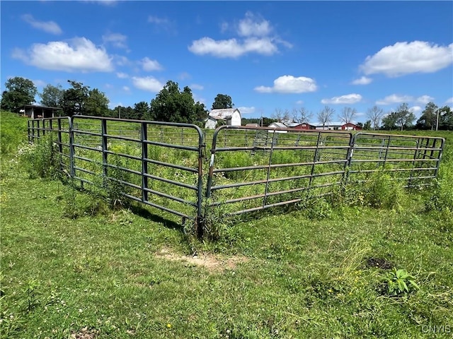 14184 State Route 90, Summerhill, NY 13092 - photo 39