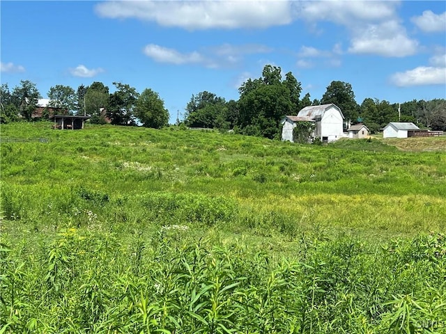 14184 State Route 90, Summerhill, NY 13092 - photo 40