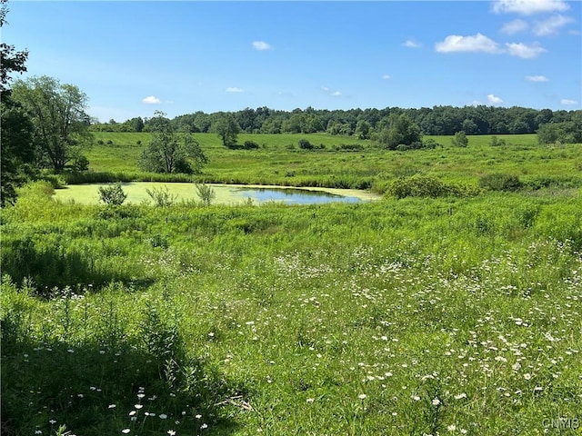 14184 State Route 90, Summerhill, NY 13092 - photo 41