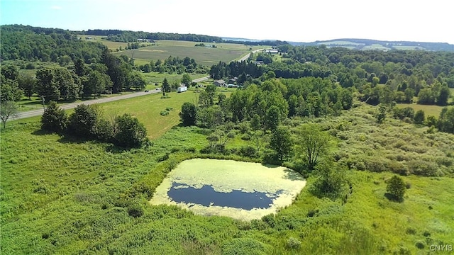 14184 State Route 90, Summerhill, NY 13092 - photo 43
