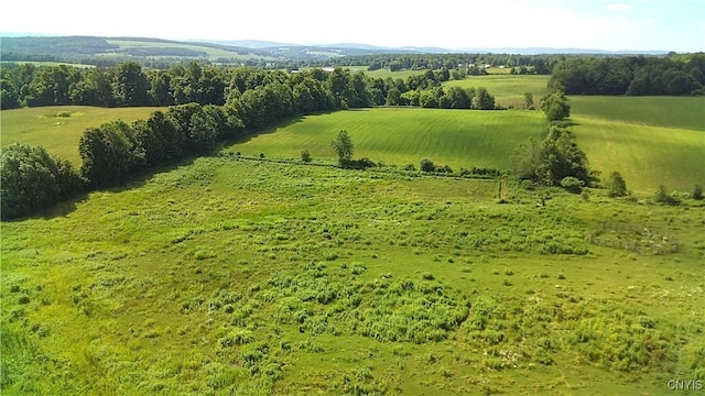 14184 State Route 90, Summerhill, NY 13092 - photo 44