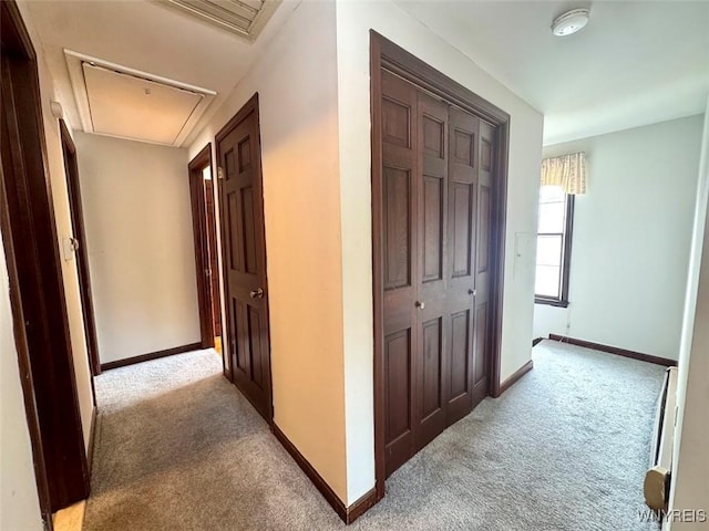 80 Capen Blvd, Amherst, NY 14226 - photo 17