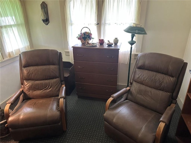 543 Schuyler Ave, Southport, NY 14904 - photo 7