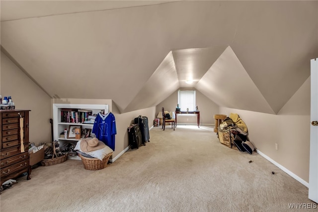 3410 Bullis Rd, Elma, NY 14059 - bonus room with carpet and lofted ceiling