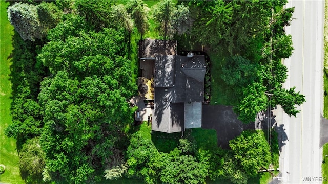 3410 Bullis Rd, Elma, NY 14059 - aerial view of property and surrounding area