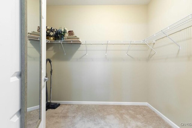 8449 Newbury Pl, Clay, NY 13041 - walk in closet with carpet
