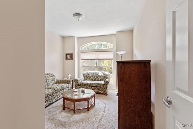 8449 Newbury Pl, Clay, NY 13041 - living room featuring carpet