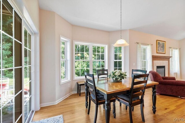 8449 Newbury Pl, Clay, NY 13041 - dining space with light wood-type flooring and a glass covered fireplace