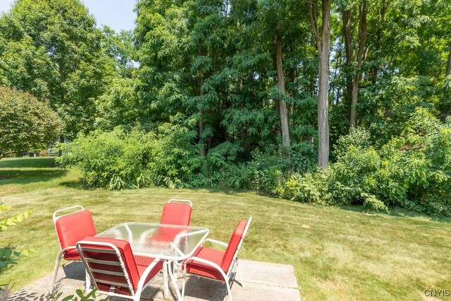 8449 Newbury Pl, Clay, NY 13041 - view of green lawn with a patio and outdoor dining area